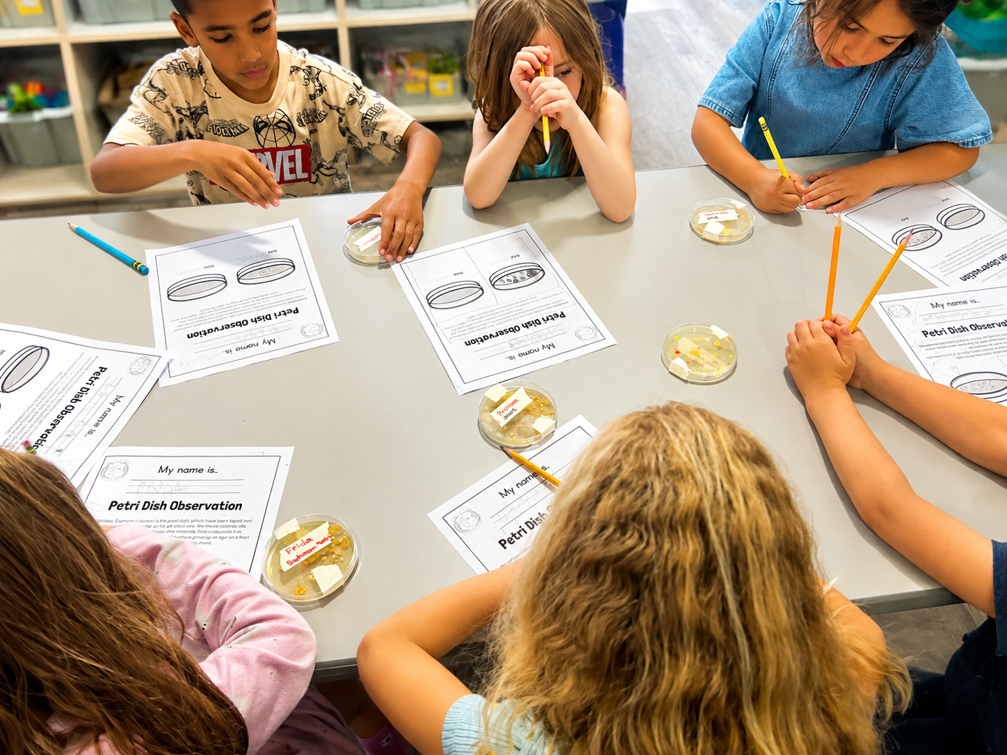 Children observing petri dishes at STEM Prep